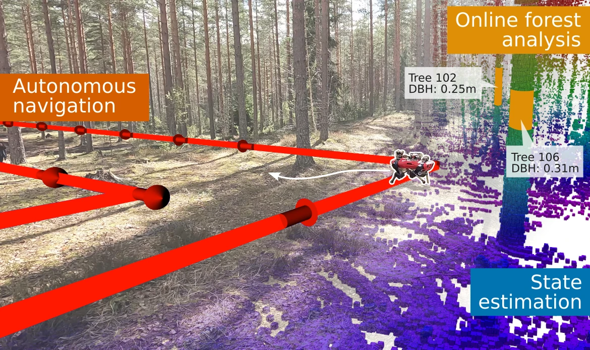 Forest inventory illustration showing an autonomous route, point-cloud map and estimated tree trunk diameters.