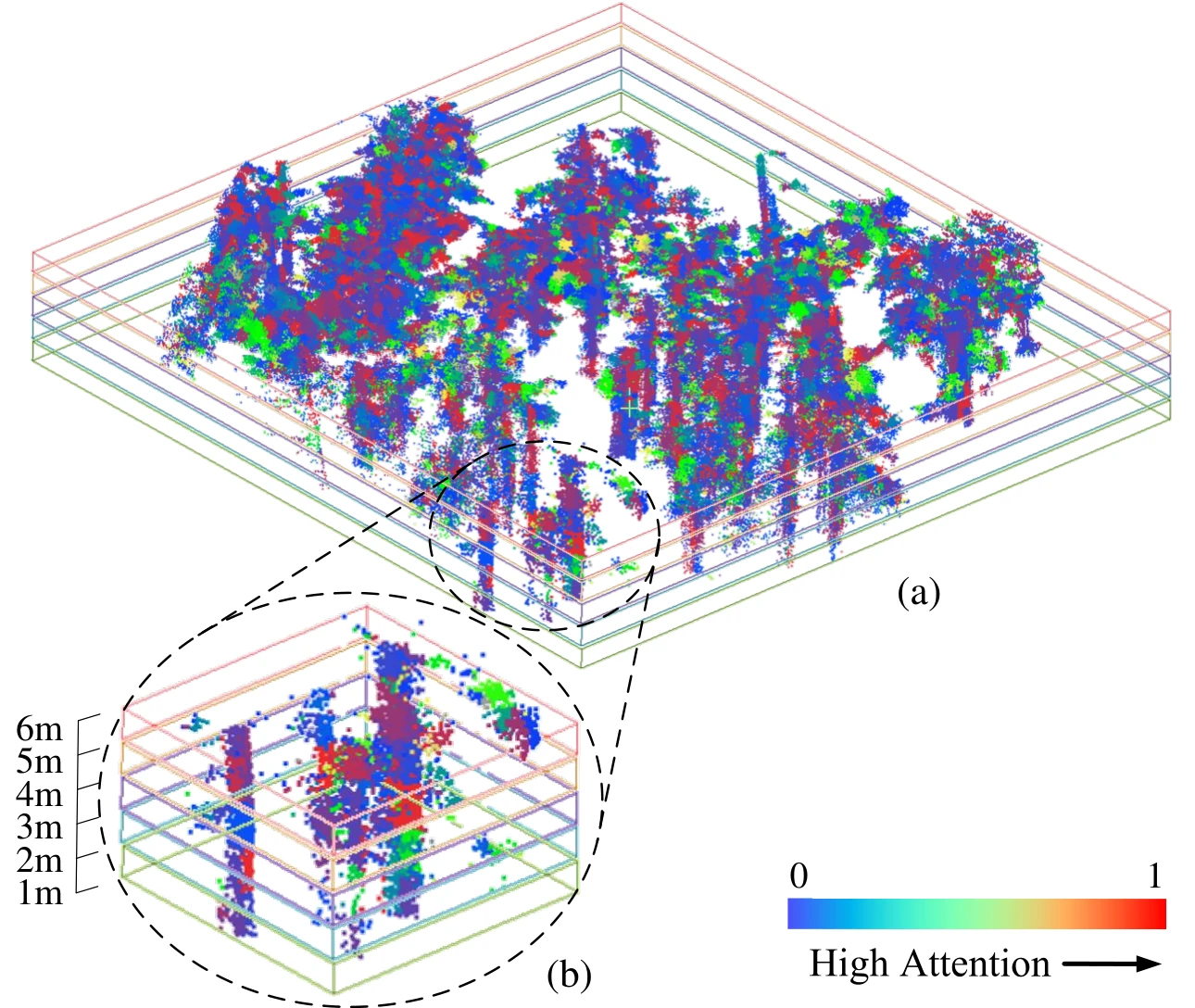 Forest point cloud divided into horizontal slices and colored by the attention assigned to tree and vegetation geometry.